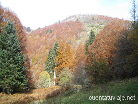 Naturaleza en Navarra